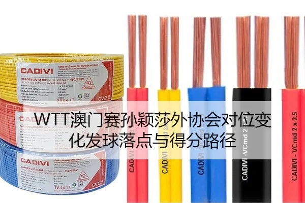 WTT澳门赛孙颖莎外协会对位变化发球落点与得分路径