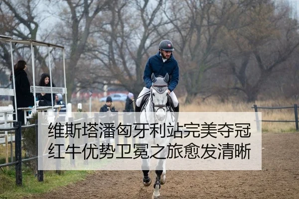 维斯塔潘匈牙利站完美夺冠 红牛优势卫冕之旅愈发清晰
